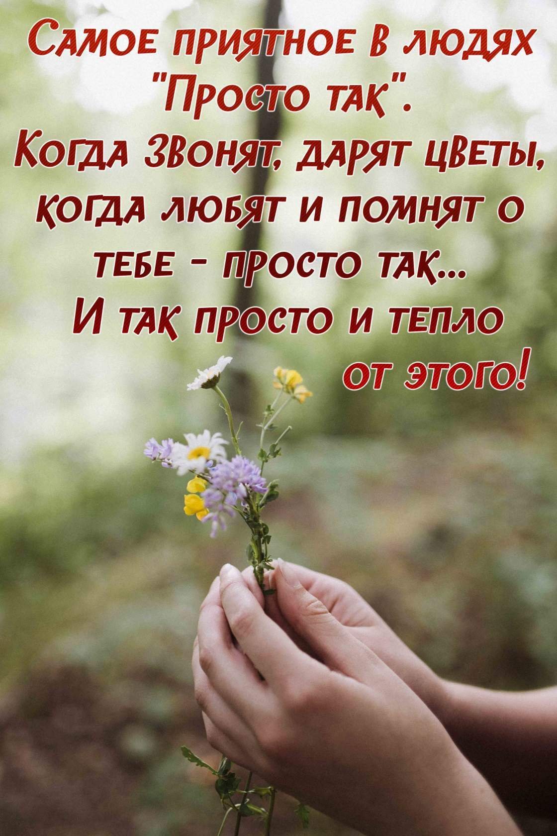 Картинки для души и настроения со смыслом