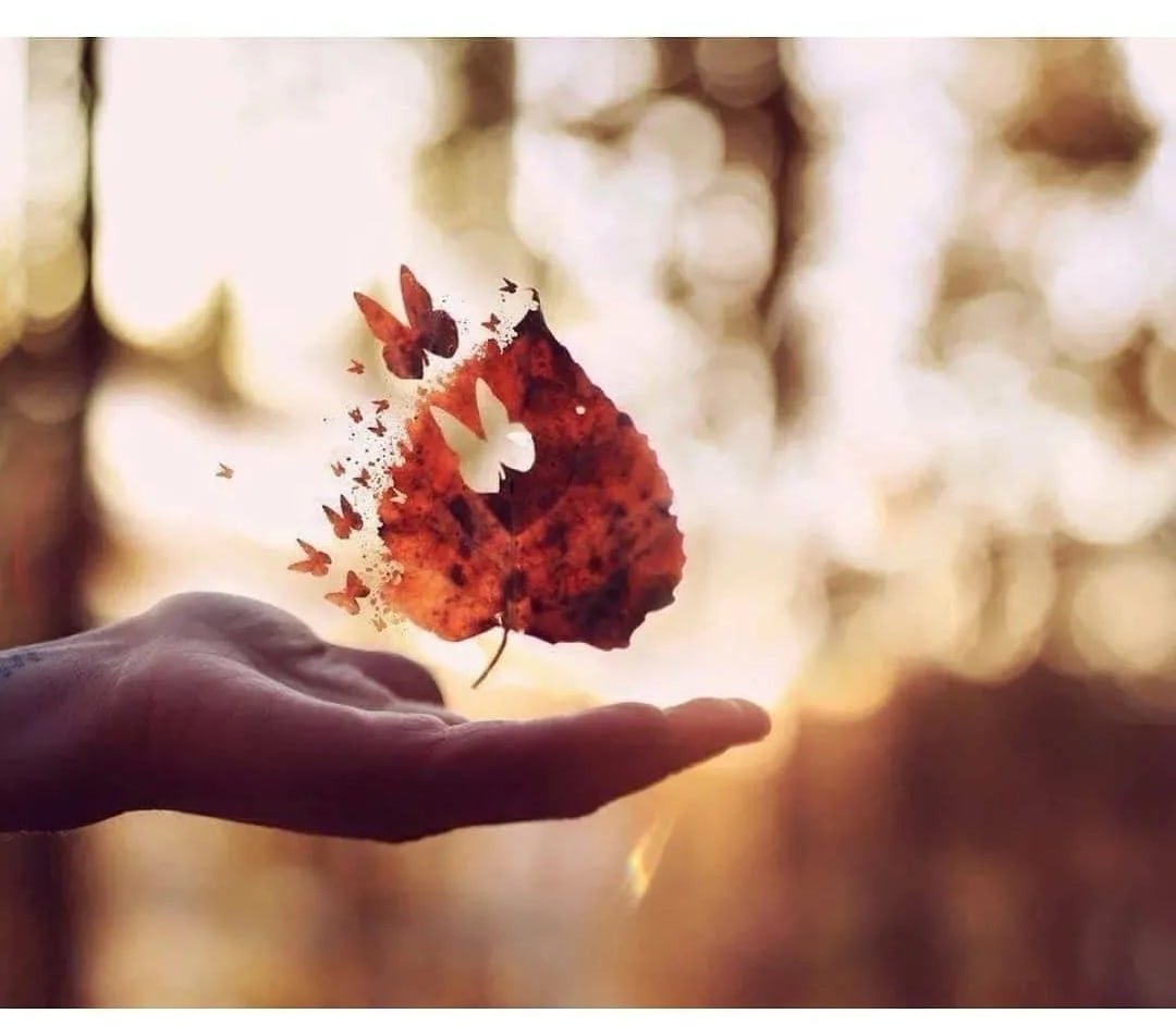 Девочка и море