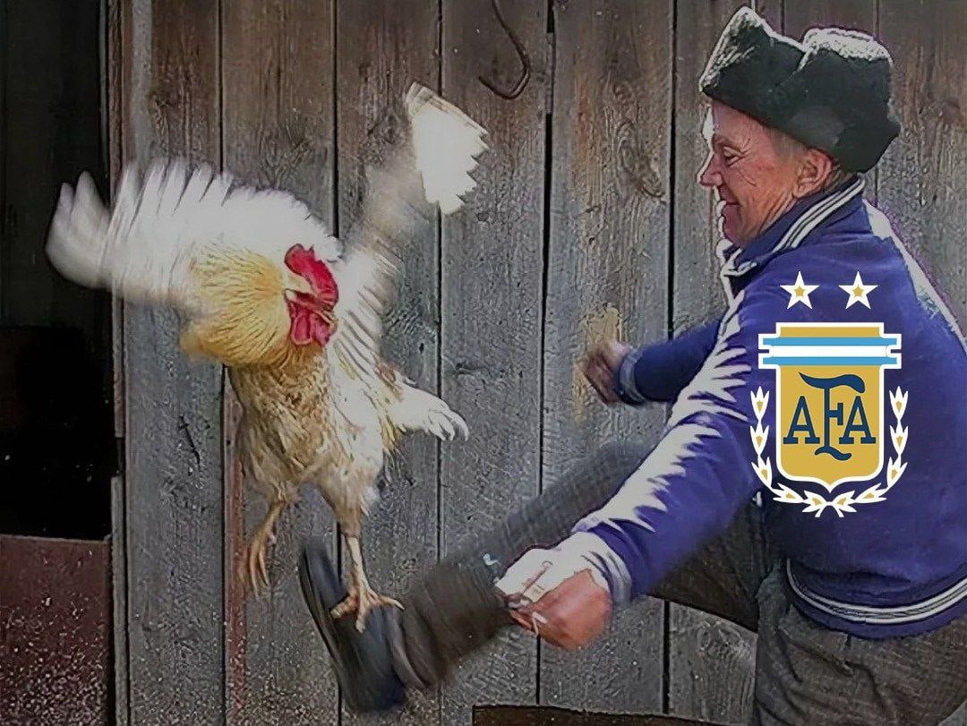 Петух прикол