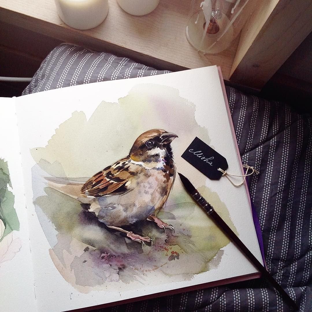 Катя Михайлина акварель Инстаграм