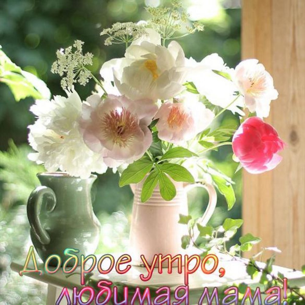 Доброе утро цветы