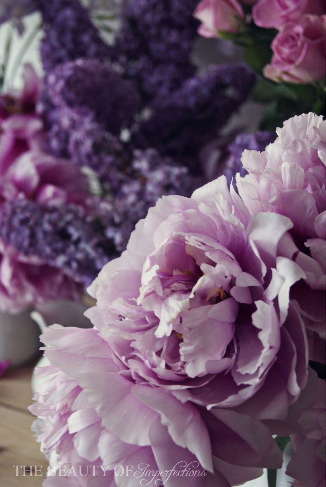 Лавандовые пионы