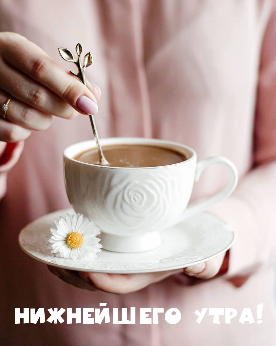 Картинки с добрым утром красивые необычные нежные для женщин