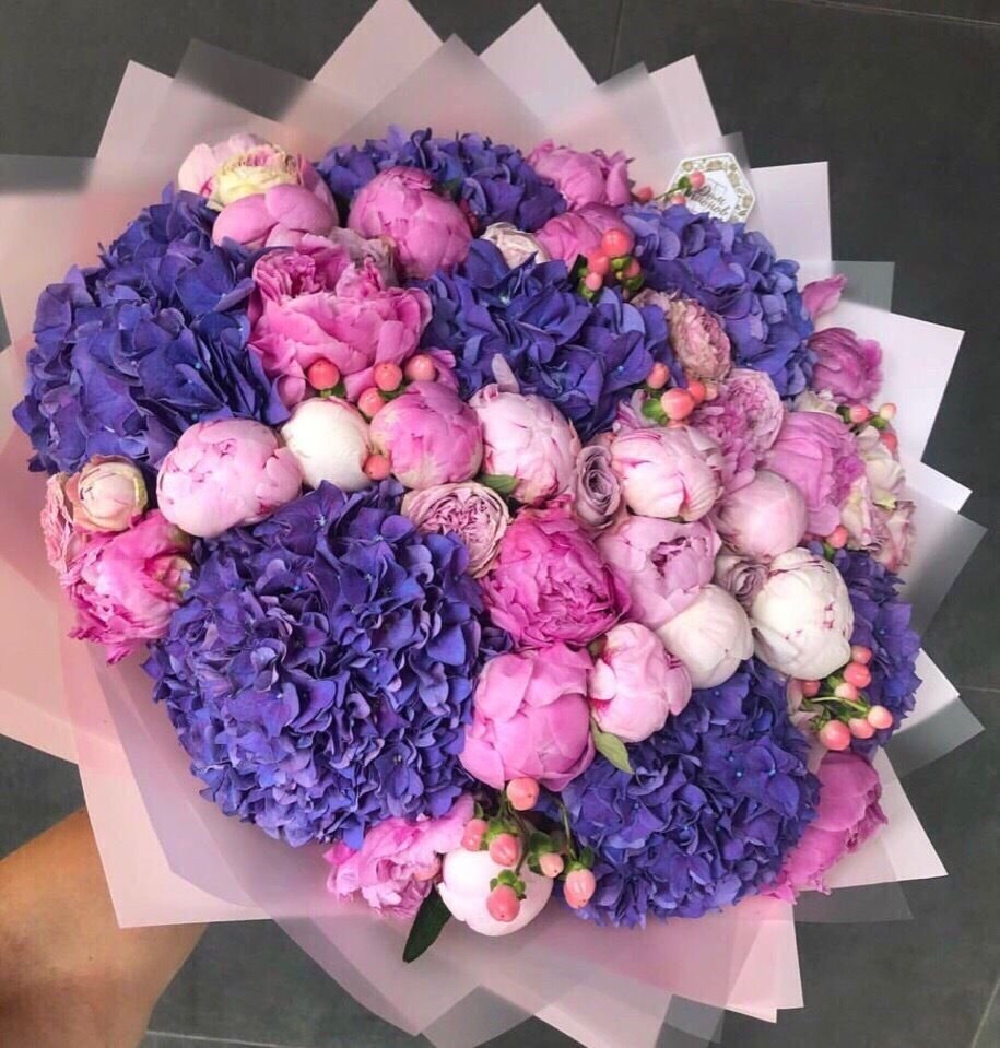 Фиолетовые пионы букет