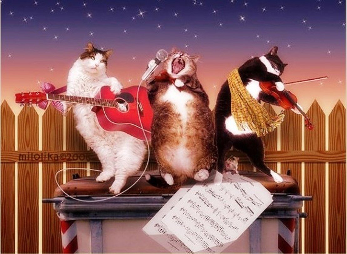 Хорошего вечера и настроения прикольные