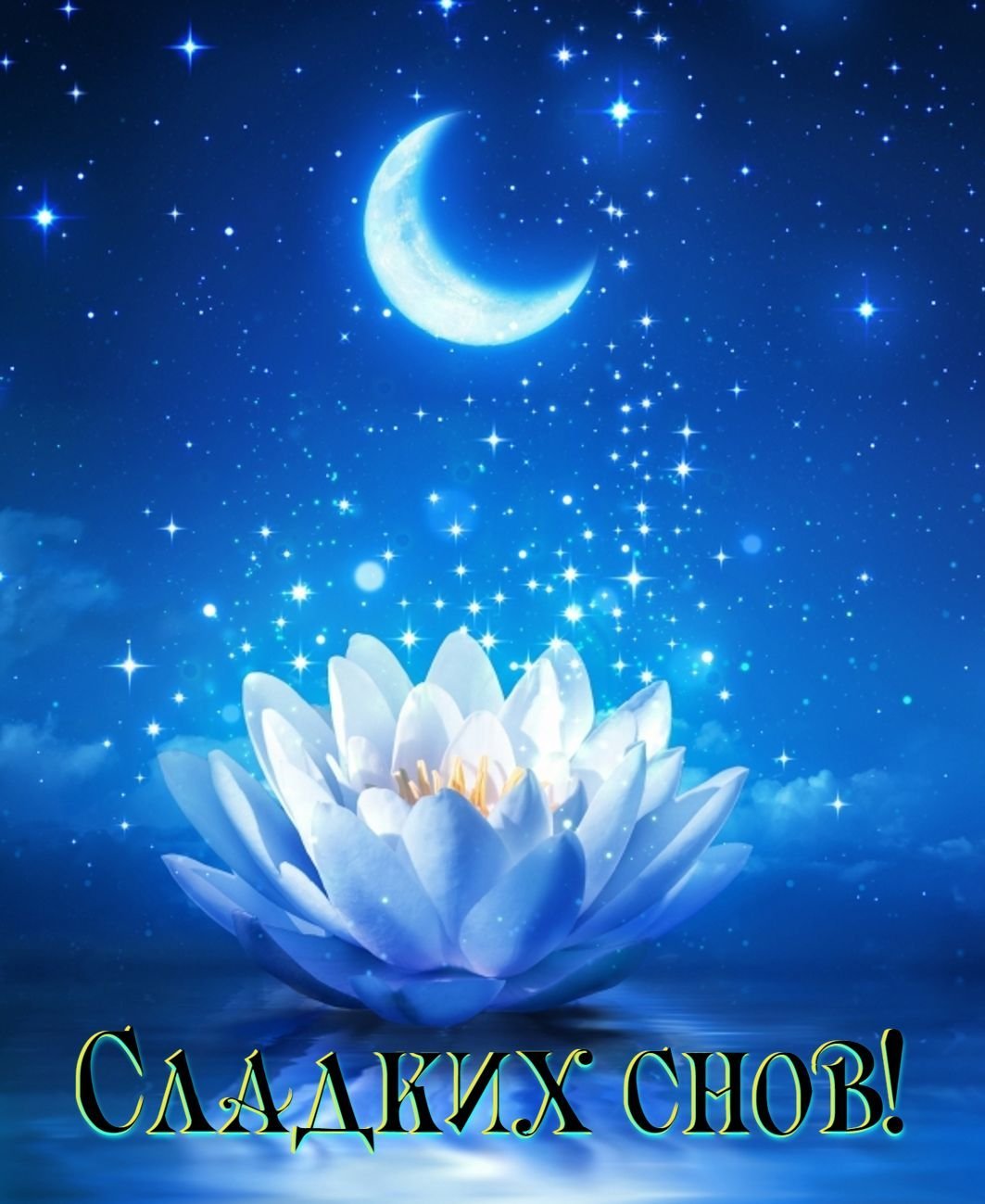 Девушка ночь Луна звезды