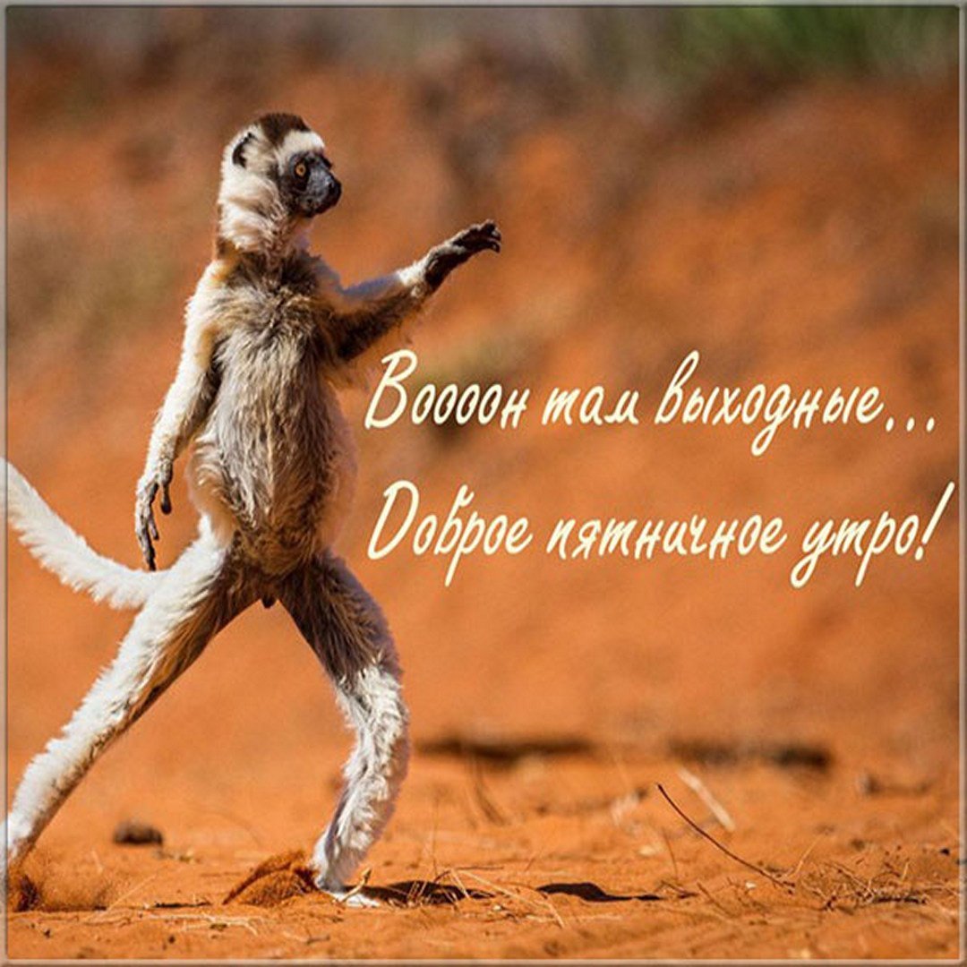 Доброе утро стильно