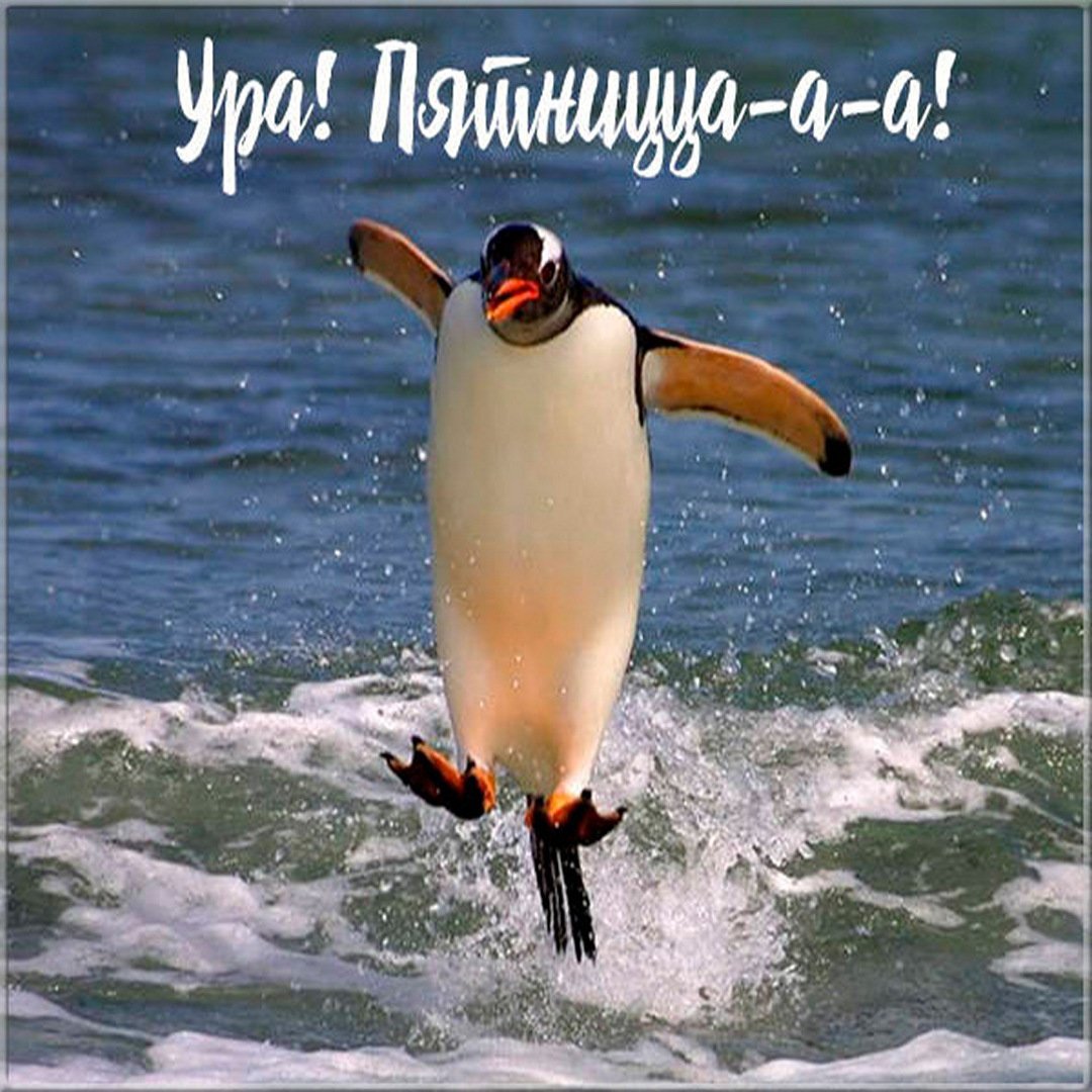 Доброе утро пятницы