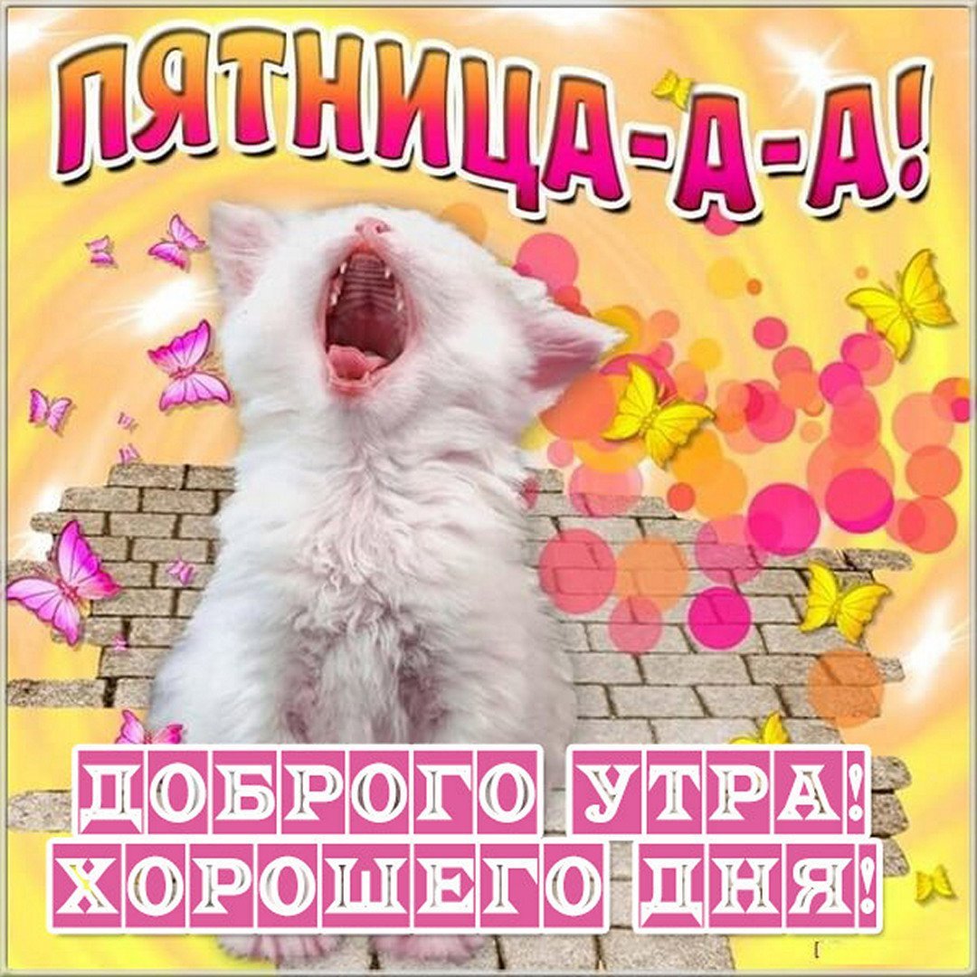 Позитивный мишка