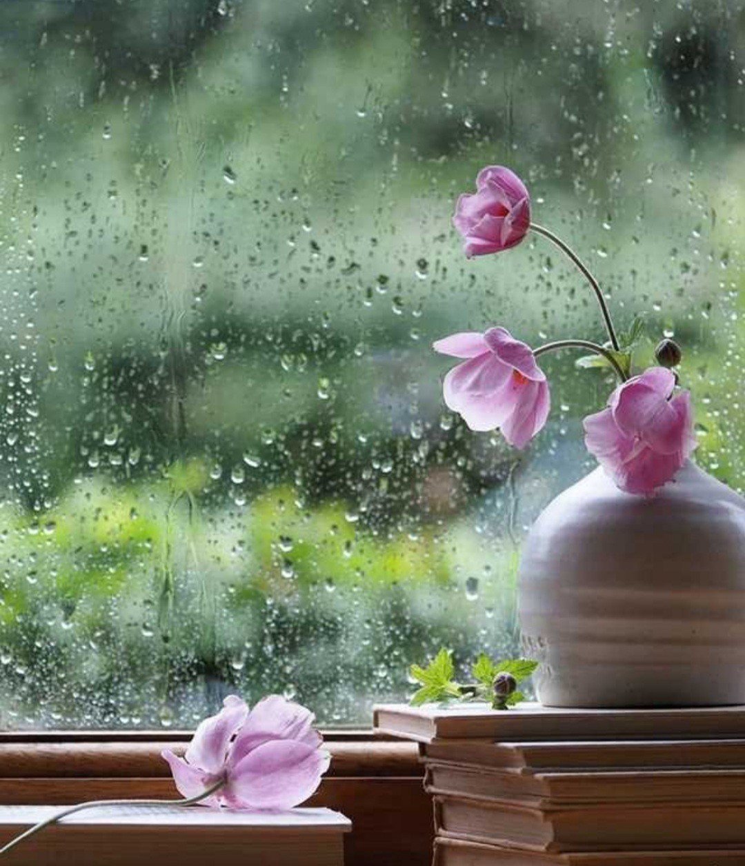 Утро доброе в окошко