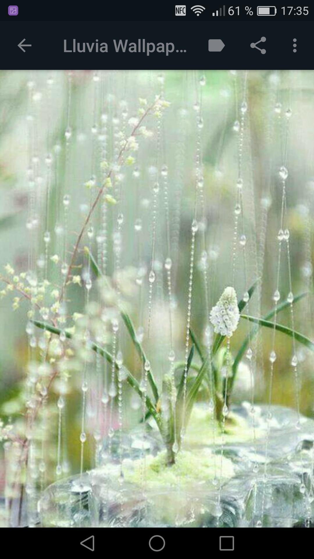 Дождливое утро за окном