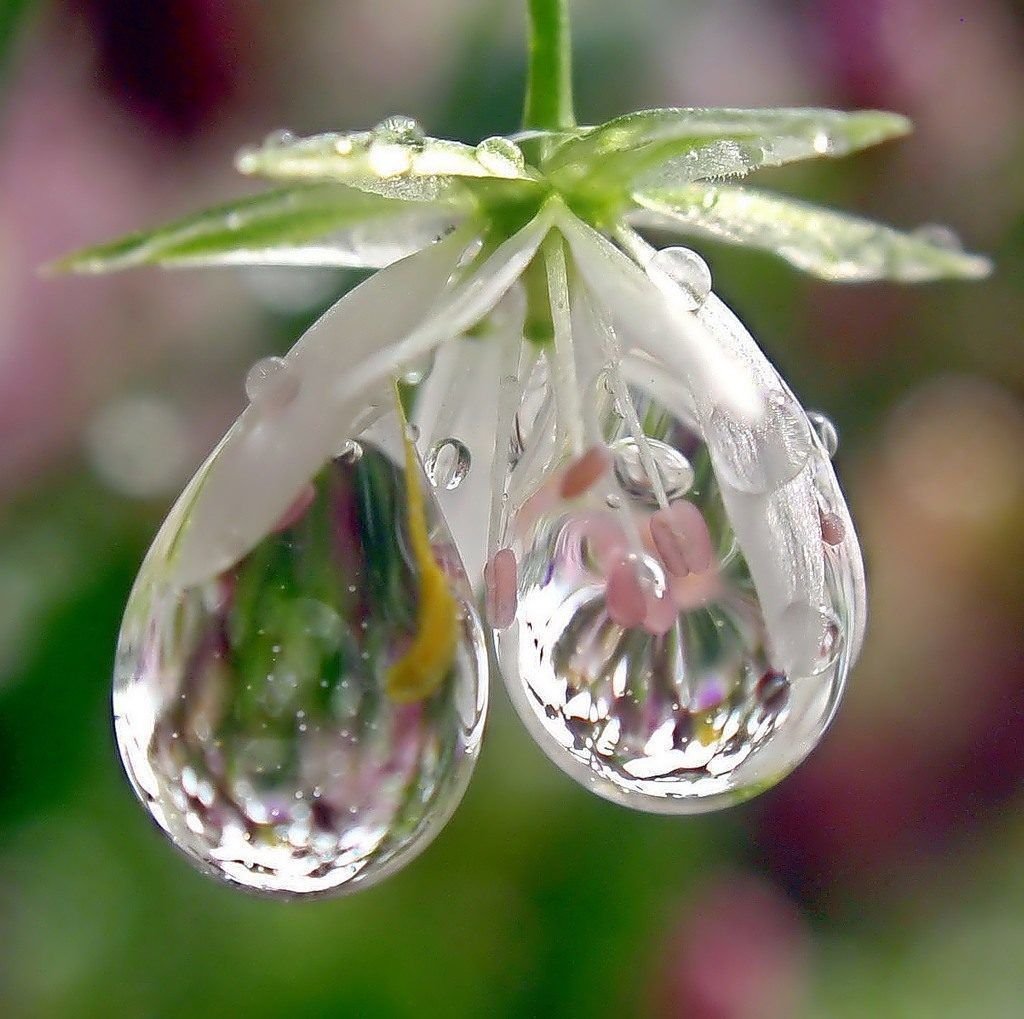 Дождливое утро зимой