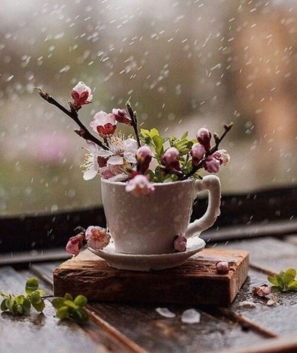 Открытки с добрым утром с росой