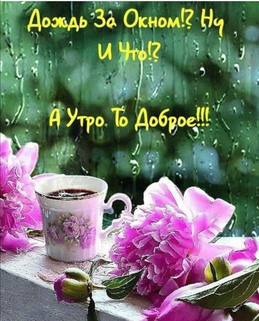 Весенний дождь