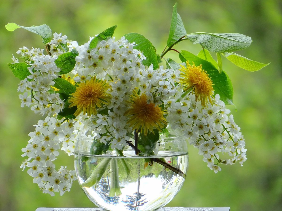 Открытки с весенним дождем