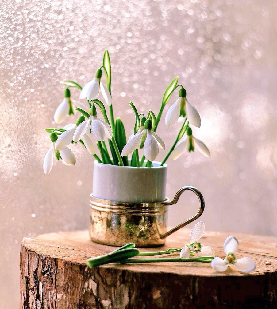 Хорошего настроения в дождливую погоду