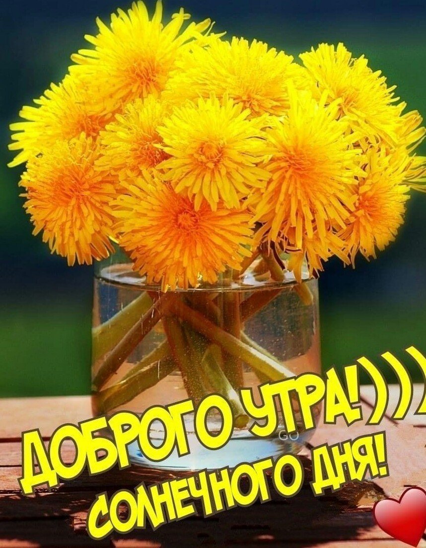 Доброе солнечное утро