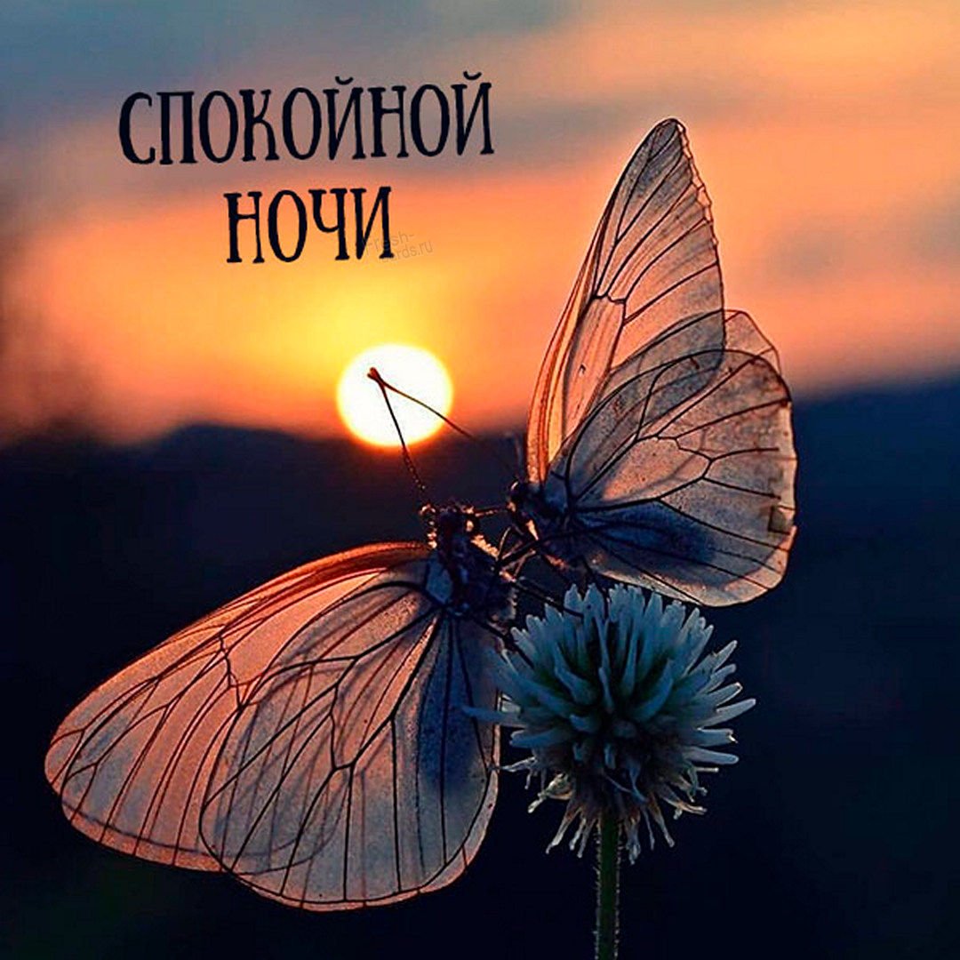 Открытки спокойной ночи