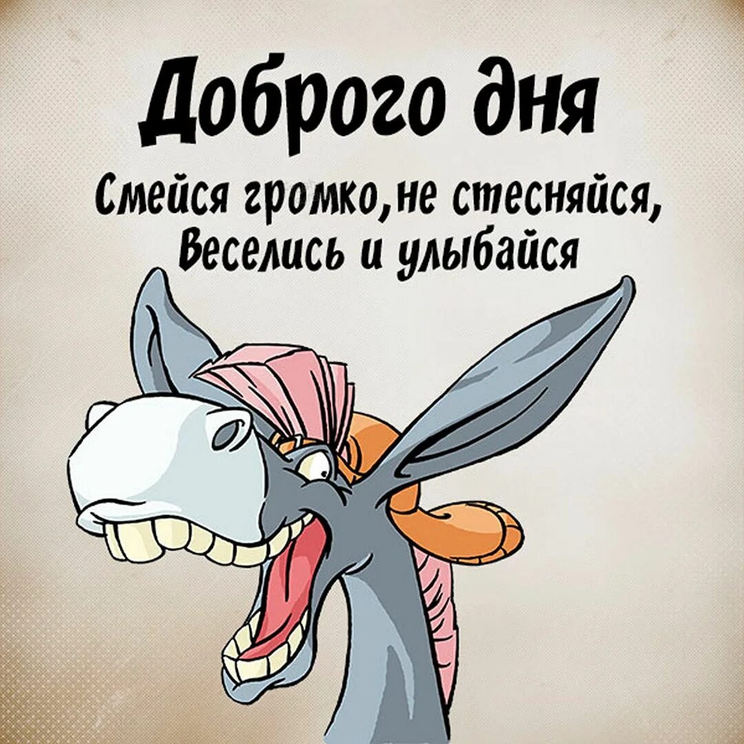 Сидобрысмутром мужчине