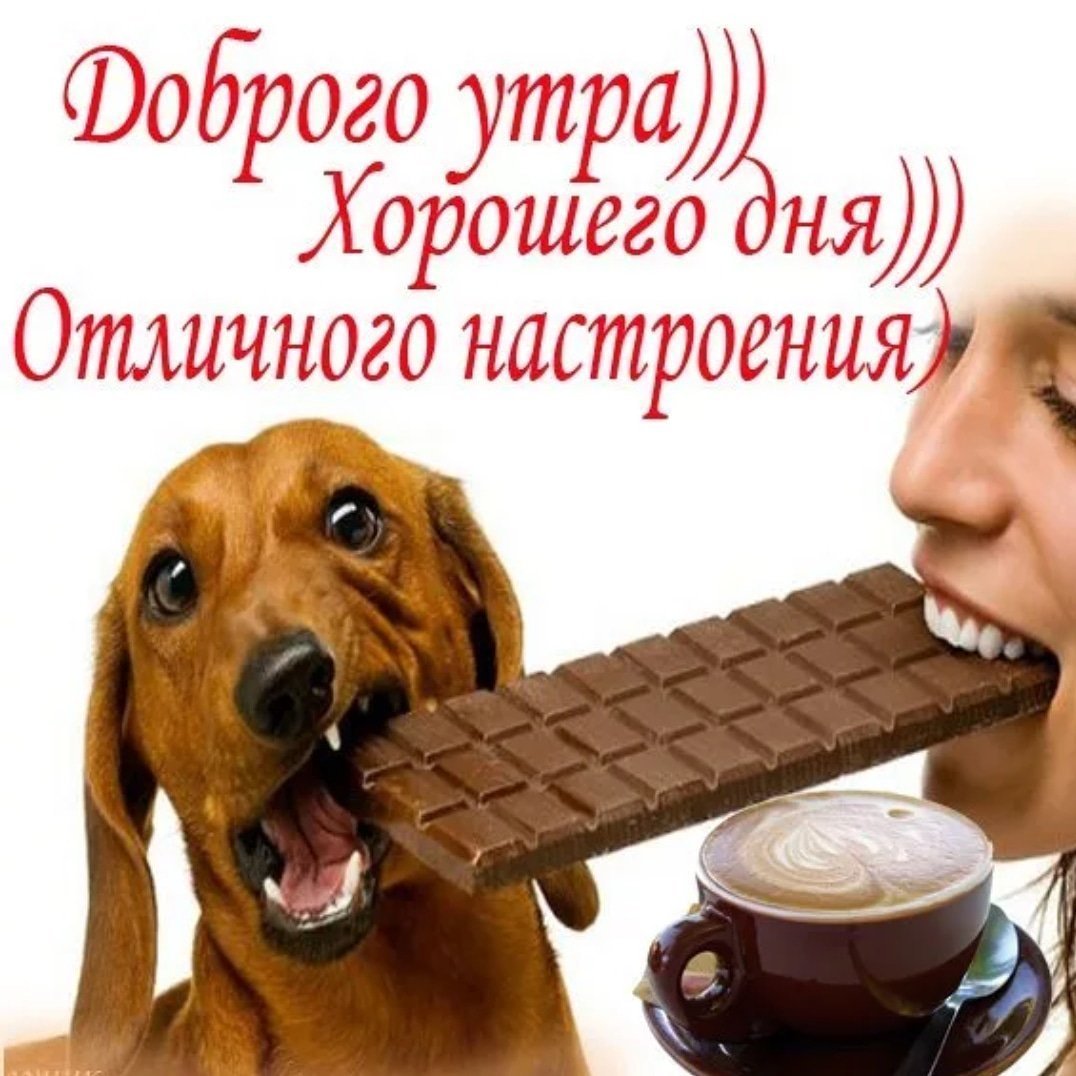 Доброе утро картинки прикольные смешные