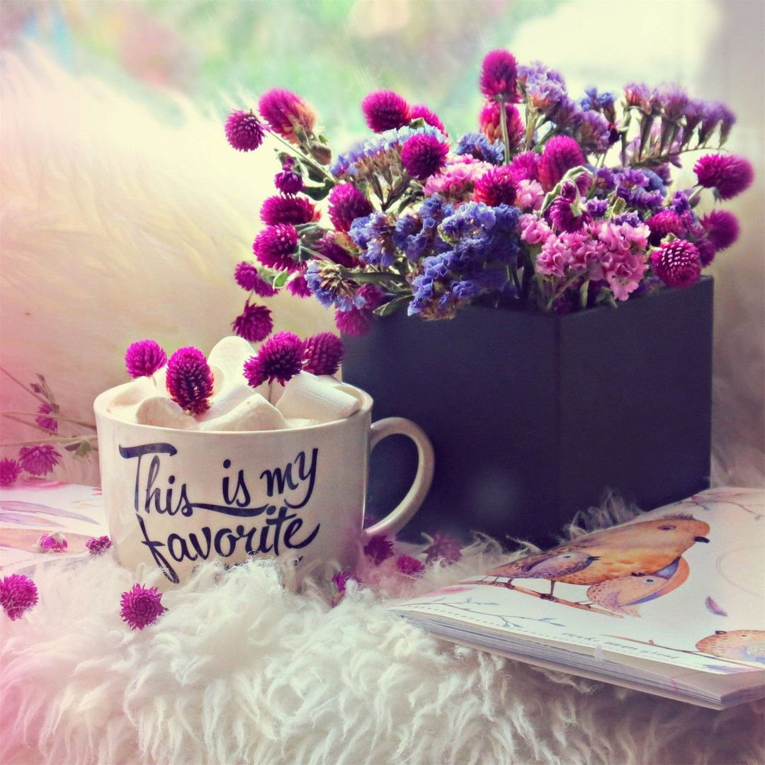 Мотивирующие фразы