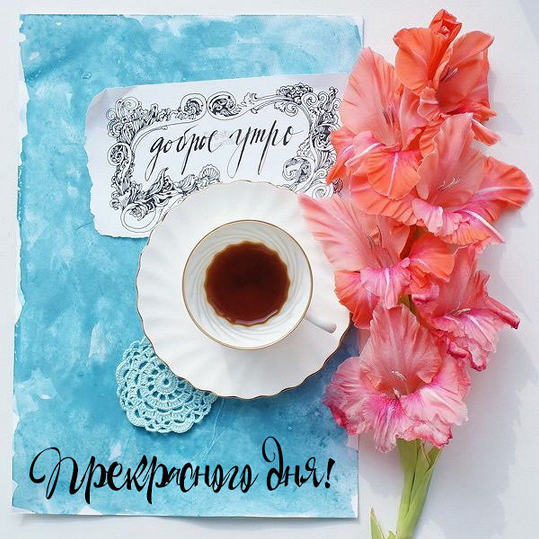 Необычные пожелания хорошего дня