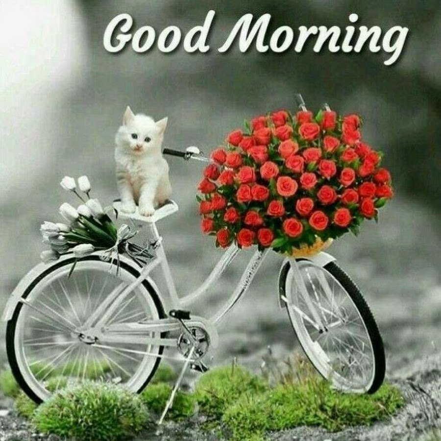 Стильные пожелания с добрым утром