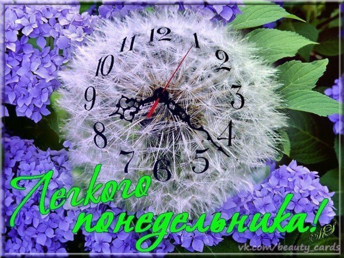 У РО доброе понедельник