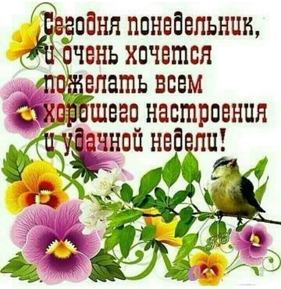 Доброе утро легкого дня