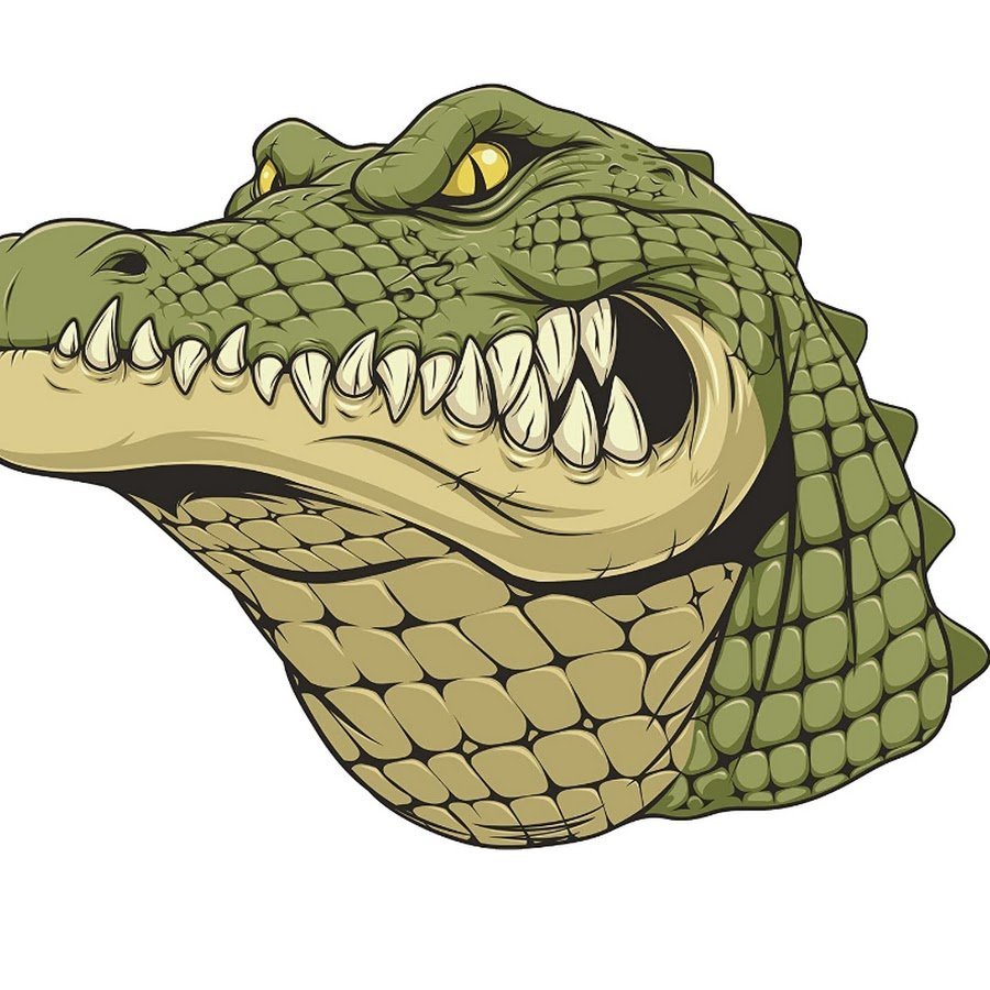 Крокодил на белом фоне