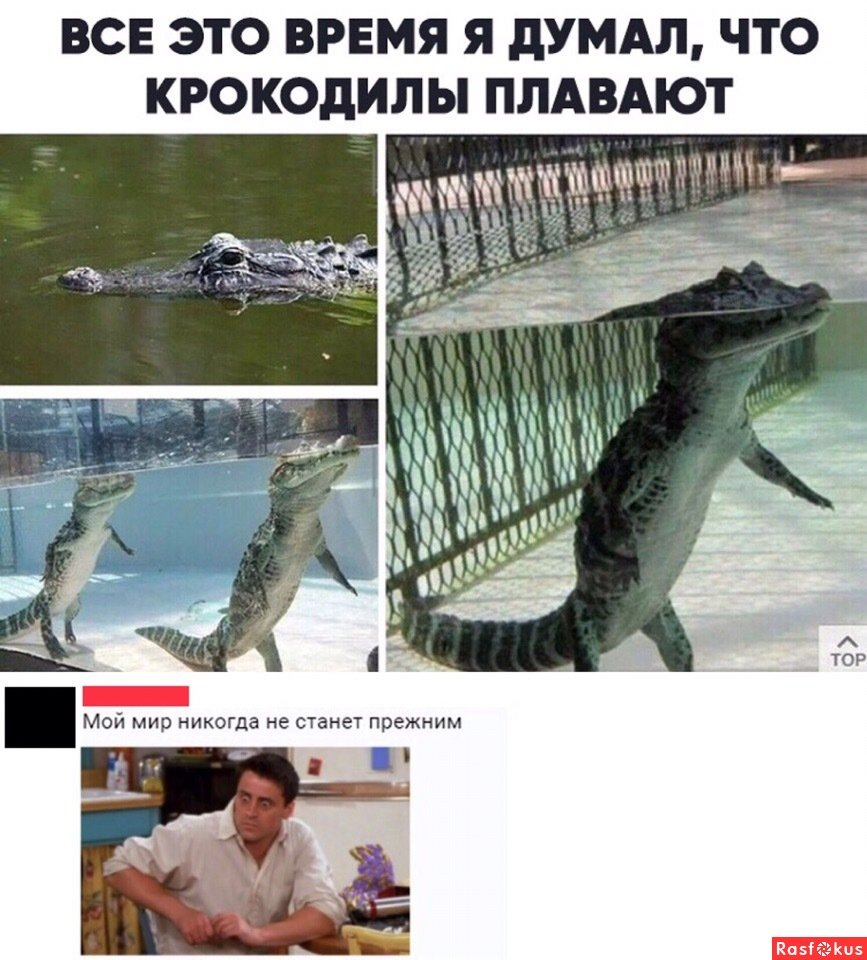 Крокодилы плавают или ходят