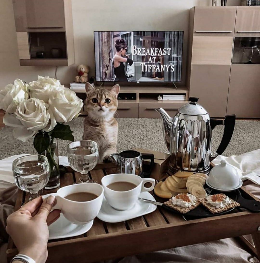 Котик с кофе