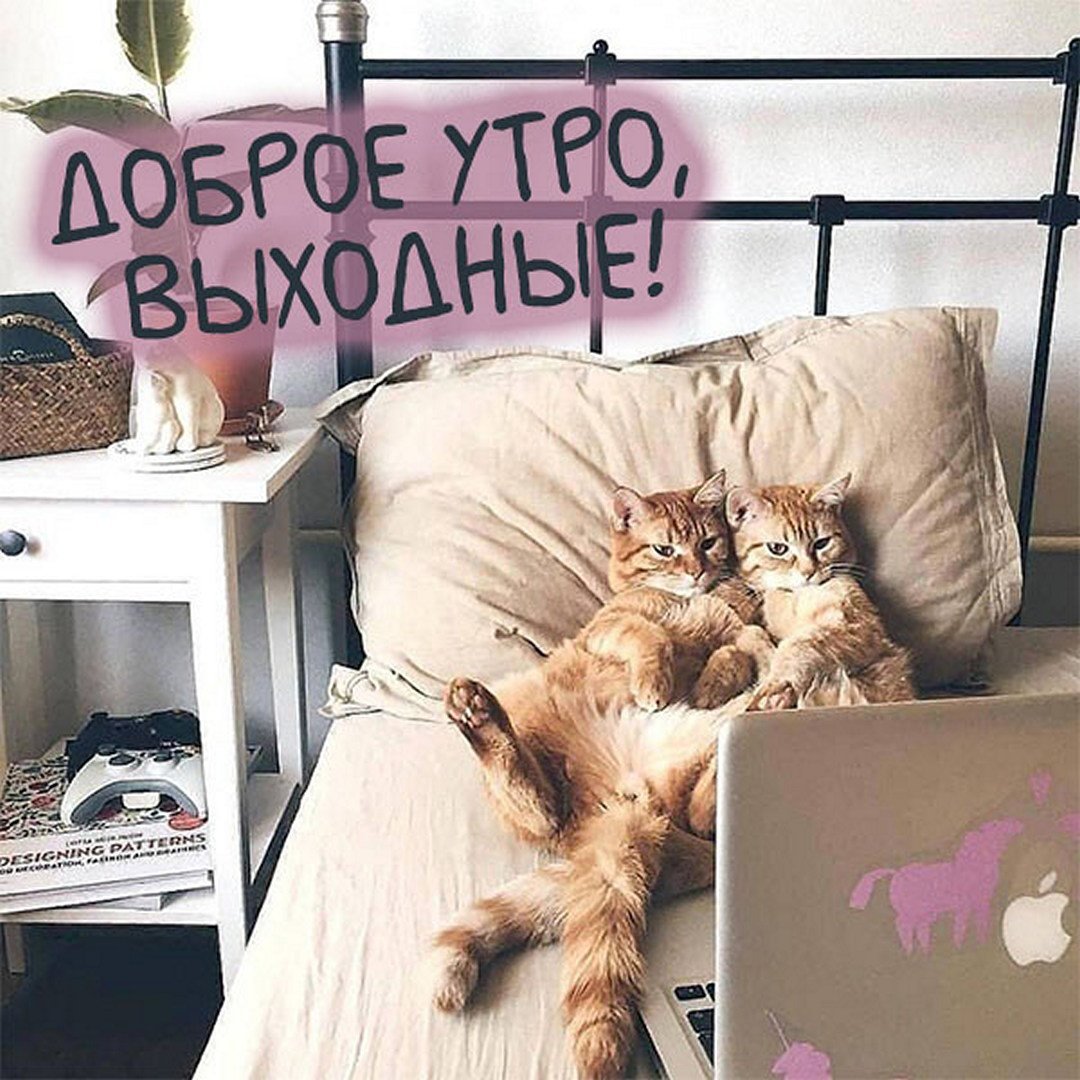 Утро выходного дня