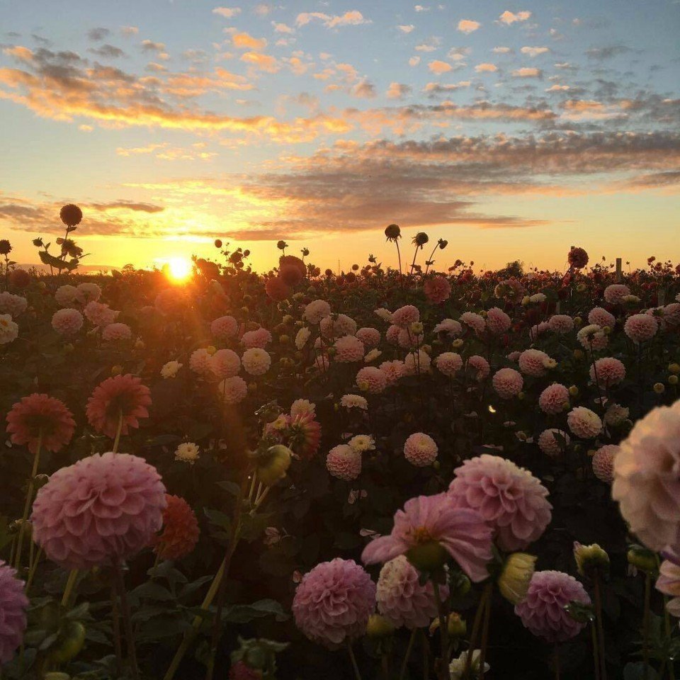 Красивая Эстетика лета