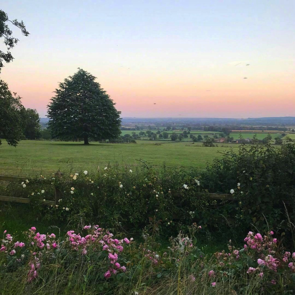 Лето путешествие