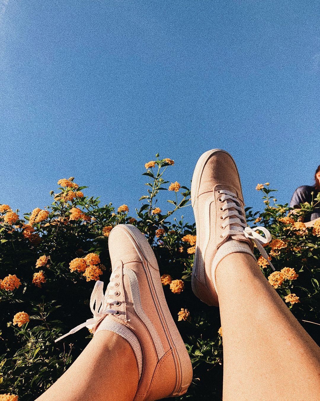 Сохраненки лето