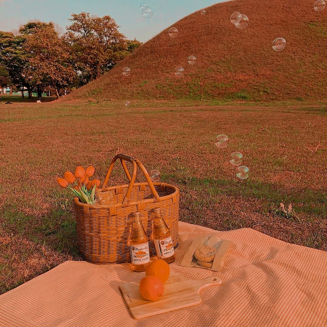 Эстетика природы летом