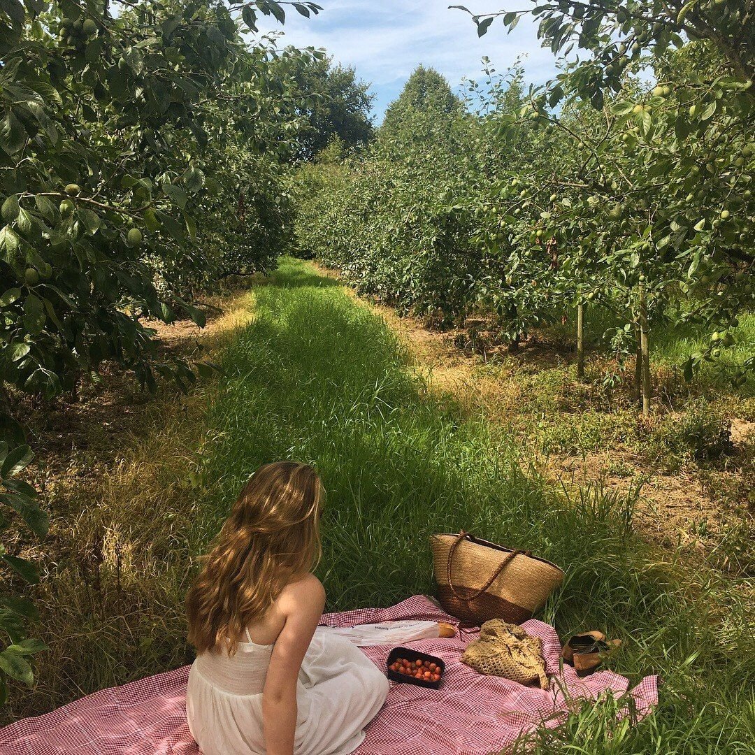 Лето Эстетика море