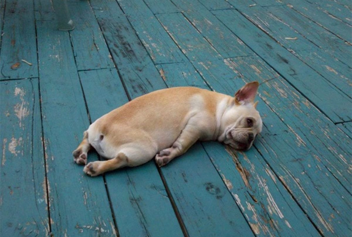 Спам демотиватор