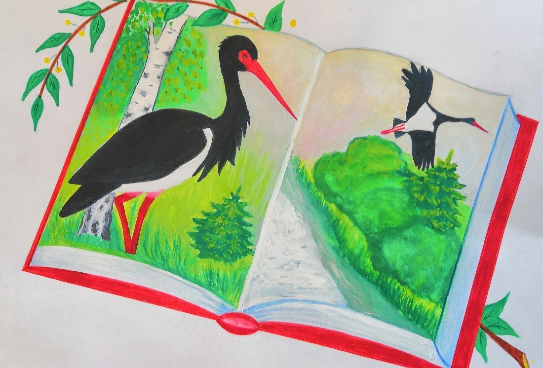 Лэпбук красная книга