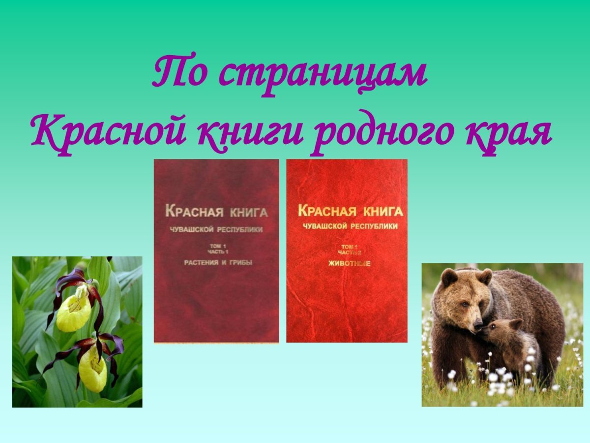 Картинки на тему красная книга