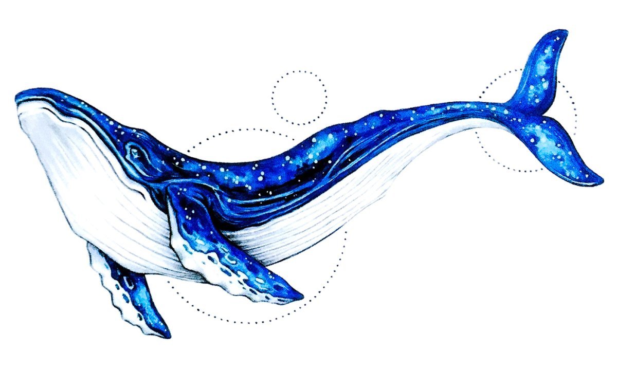 Кит орнамент