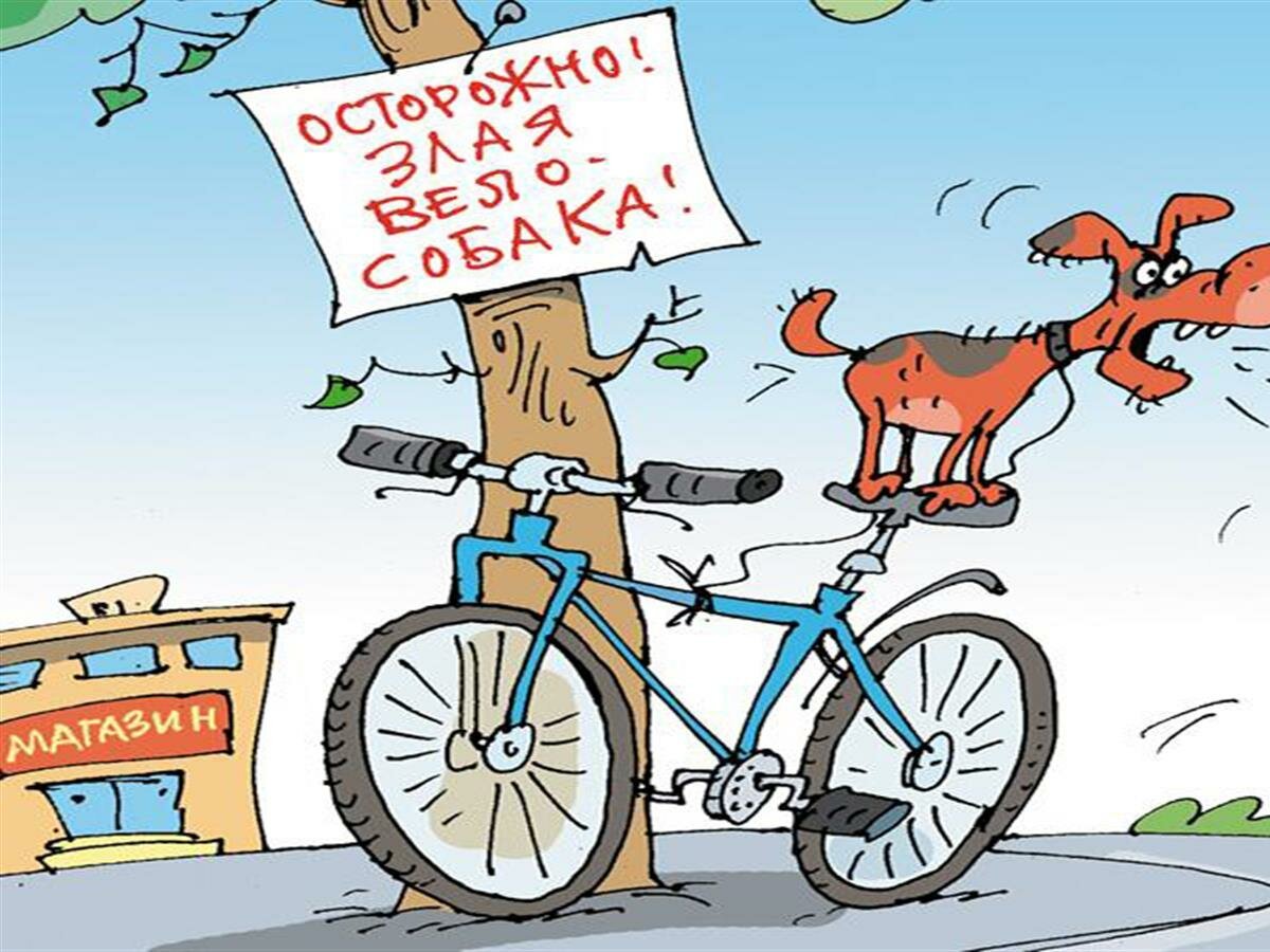 Велосипед юмор