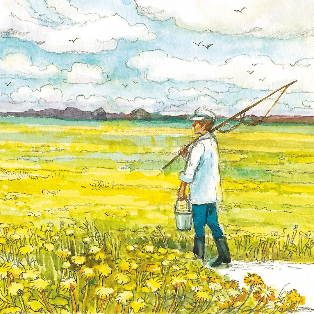 Николай Устинов иллюстрации к Пришвину