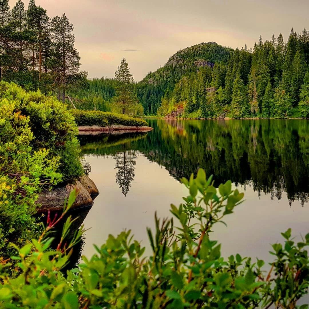 Пришвин о природе