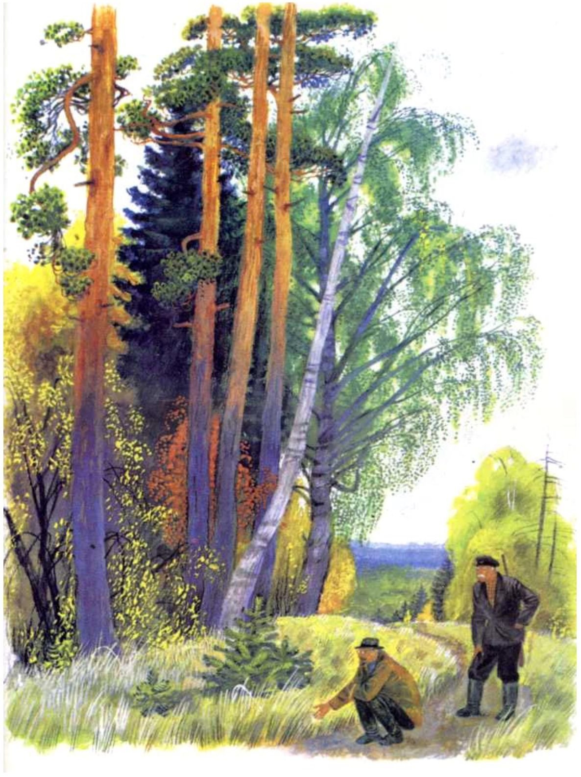 Пришвин Лесной доктор