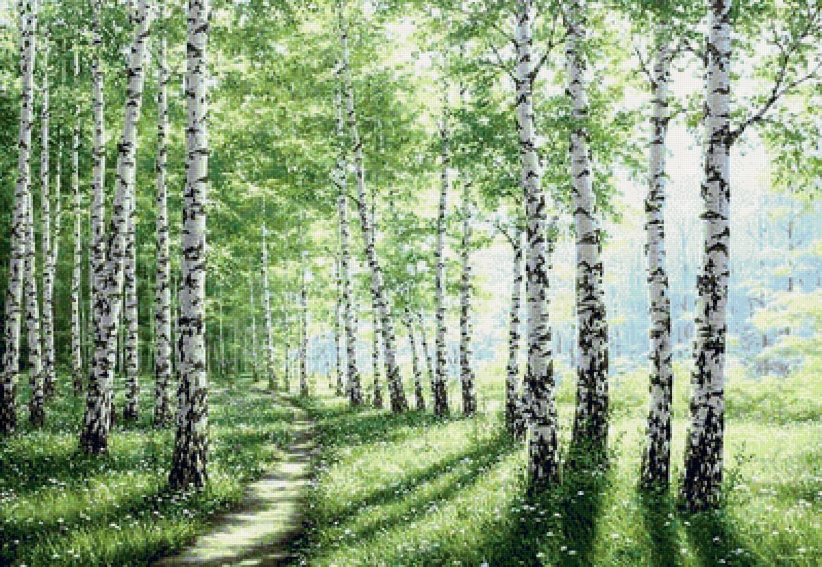 Михаил Михайлович пришвин книга выскочка