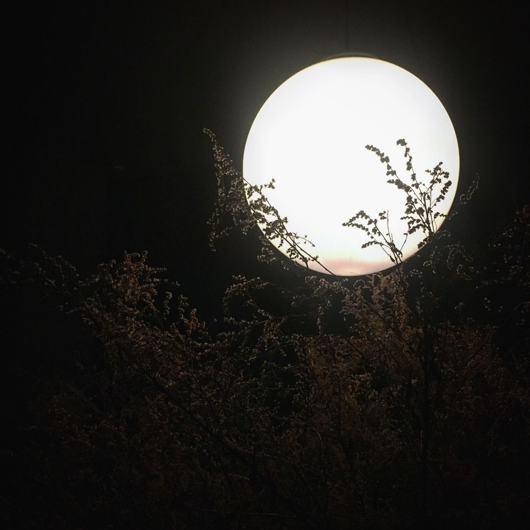 Корабль на Луне