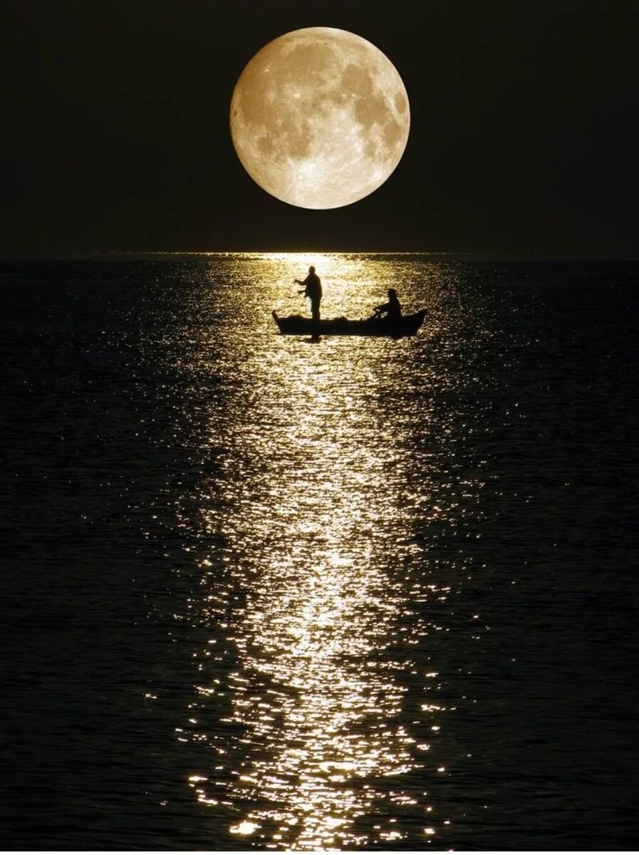 Ночь Луна