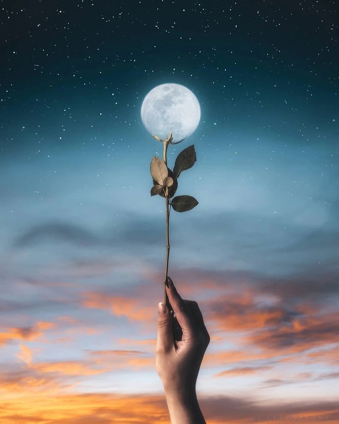 Луна на ладони